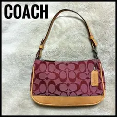 COACH コーチ シグネチャー アクセサリーポーチ 6094 ミニバッグ 赤