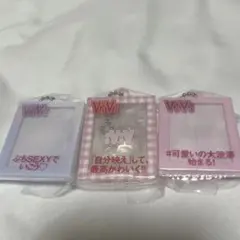 ViVi だれでもアクリルチャーム　3点セット