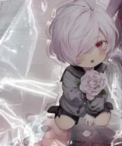 DIABOLIK LOVERS ディアラバ 逆巻アヤト アクリルスタンド - メルカリ