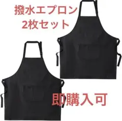 お得な2枚セット‼️ 撥水エプロン ポケット付き　ブラック　飲食店　イベント
