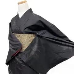 大島紬　小紋　蝶　水波紋　ドット　地空き　泥染　黒地　着物　012b d ms