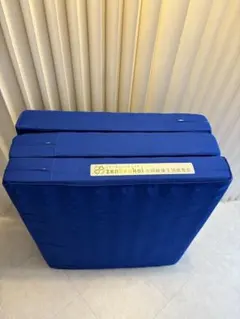 【送料無料】美品 ヘルスウェーブゴールド 施術用 NSP（195×75×9cm） ヘルスウェーブゴールド すややか専用ハニカムメッシュ クールシーツ