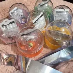 なにわ男子 めじるしアクセサリー コンプ おまけ付き