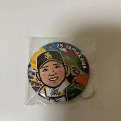 福岡ソフトバンクホークス ファイト九州 缶バッジ ガチャ 山川穂高