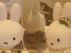 ウェルカムスペース ウェルカムミラー
