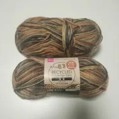 DAISO リサイクルポリエステル毛糸 RPG6 オータムリーフ