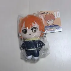 【新品・未使用】ハイキュー 日向翔陽 ぬいぐるみ