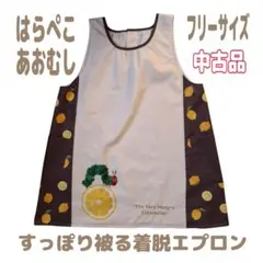 はらぺこあおむし 学研 すてきな先生 保育士 エプロン