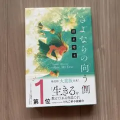 さよならの向こう側　清水晴木