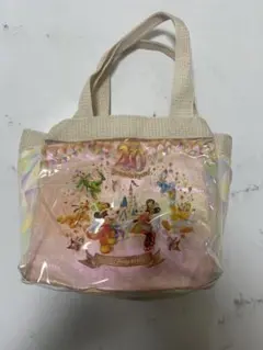 ディズニーランド　40周年　ランチケース　バッグ　スーベニア　TDL TDR