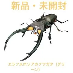 新品　エラフスホソアカクワガタ（グリーン）　いきもの大図鑑アドバンス　カプセル版