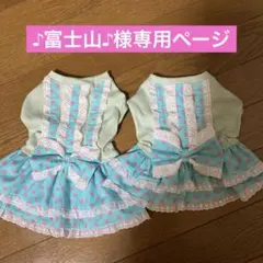 Item thumbnail for item 2070d3c7-bc31-4c92-b07c-8d00297a2bba