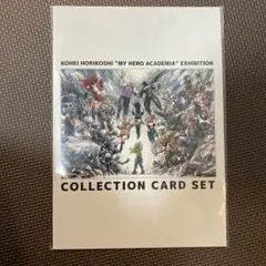 ヒロアカ展 コレクションカードセット 来場者特典 入場特典 グッズ付きチケット
