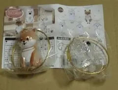 わんこのタイムカプセル まめ&モコ