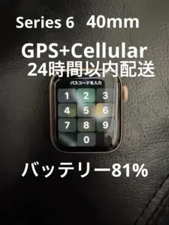 Apple Watch Series 6 40mmGPS+Cellular 本体