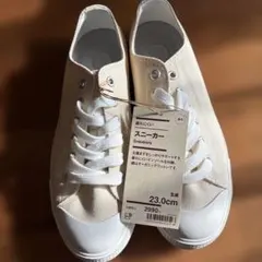 Item thumbnail for item dd841b86-ce5a-4635-ac4b-3ba12258be2c