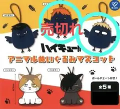 健大高崎野球部応援グッズ - メルカリ