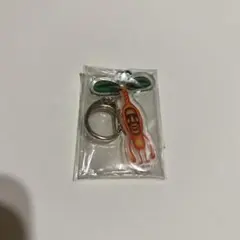 こびとづかんEXPO アクリルキーホルダー イヤシミドリバネ