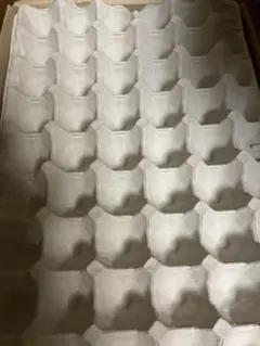 Item thumbnail for item be79dda3-5600-4541-8302-39f8d5d7caef