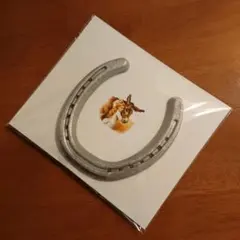 【本物の蹄鉄】馬蹄