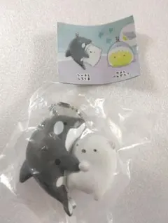 すみっコぐらし　神戸須磨シーワールドのいきものたち　シャチとしろくま