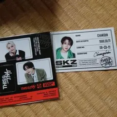 Stray Kids チャンビン トレカ This & That