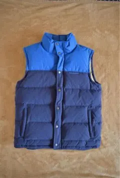 2025年最新】patagonia ナイロンベストの人気アイテム - メルカリ