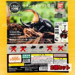【◎２種セット】いきもの大図鑑 かぶとむし05