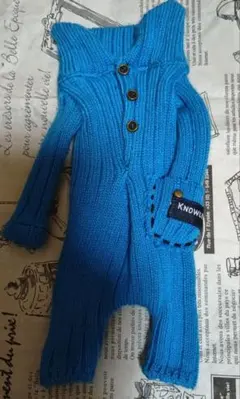 ブライス　アイシードール　アウトフィット