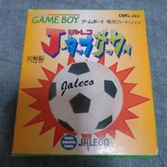 GB Jカップサッカー