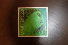 Item thumbnail for item 6e6b1e0a-5c1f-4b9a-b44a-957dffbc4c6b