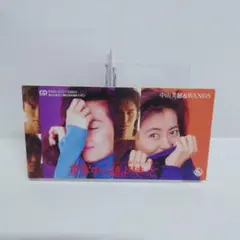 中山美穂&WANDS 世界中の誰よりきっと CD