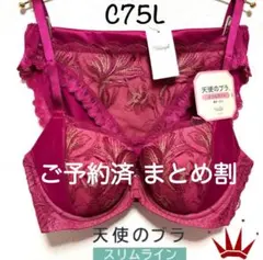 ✴︎C75L トリンプ 天使のブラ スリムライン 584 ブラ＆ショーツ red
