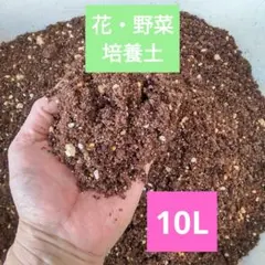 畑土 たっぷり 20L 各務原市鵜沼の高級黒土 家庭菜園 野菜の土 黒ぼく