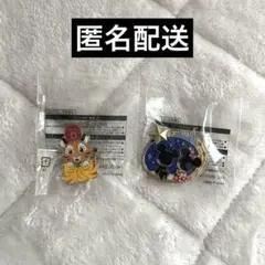 ディズニーシー　アブーズバザール　ピンバッジ2個セット【匿名配送】