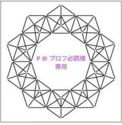 P @ プロフ必読様 リクエスト 6点 まとめ商品