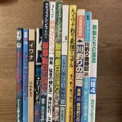 2026年最新】渓流釣り: ヤマメ・イワナ釣り完全マニュアルの人気