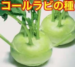 ㍿☻ねこ。おまとめ1点追加で50円引き様 リクエスト 3点 まとめ商品