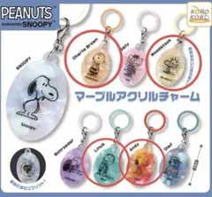 ⭐︎送料無料 PEANUTS マーブルアクリルチャーム 2種セット