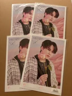 straykids チャンビン GO生 ミニポスター yes24 廃盤 公式品 - メルカリ