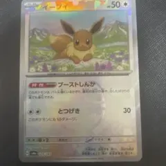 テラスタルフェス　マスターボールミラー　ブイズ　5種 マスターボールミラー仕様 テラスタルフェスex】ブラッキー 092