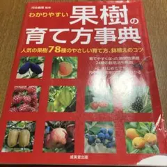 Item thumbnail for item e15130ce-dc79-47ac-b1e1-dca424ad6fb8