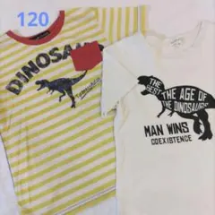 120 男の子 半袖 Tシャツ 2枚セット 夏物 トップス 恐竜のサムネイル