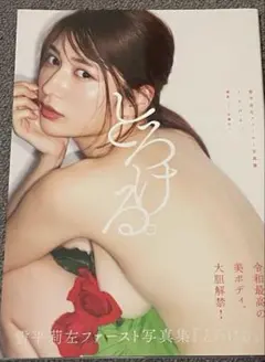 写真集 アート