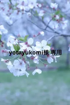 yotayukomiさま専用