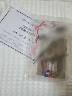 CLくじ　WチャンスA賞　サイン入り写真立て THE RAMPAGE 岩谷