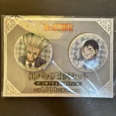 Dr.STONE 缶バッジ