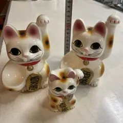 招き猫のサムネイル