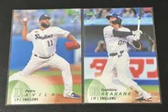 BBM FUSION 2025 東京ヤクルトスワローズ 赤羽由紘 アビラ セット