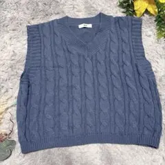 ウィゴー ケーブルニットベスト F Vネック ブルー くすみカラー WEGO